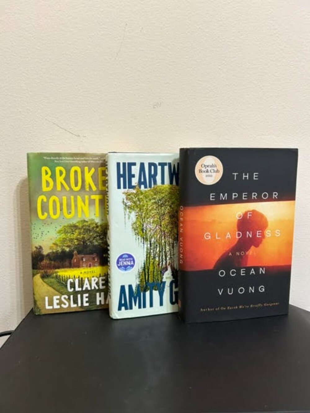 Literary Fiction Book Bundle Ocean Vuong Heartwood Broken Country 3 Books
